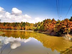 -上海海湾国家森林公园