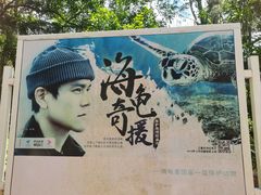 -广东惠东海龟国家级自然保护区