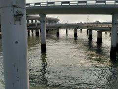 -演武大桥观景平台