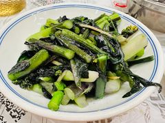 红菜苔-壹盏灯(蚂蚁工房店)