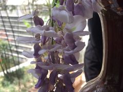 -九华山聚龙大酒店