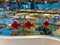 -小平岛开海水饺(皇姑店)