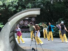 -菊花台公园