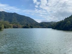 -深圳仙湖植物园