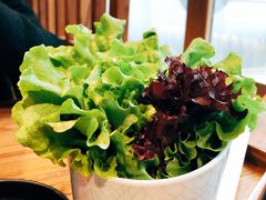 -喜来稀肉(望京店)