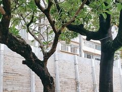 -大馆(前中区警署建築群)
