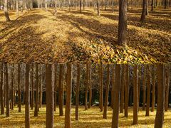 -汉景帝阳陵博物院
