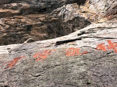 -陕西省红河谷森林公园