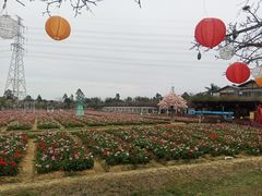 -盈香心动乐园