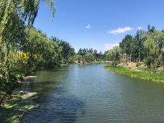 -东郊湿地公园