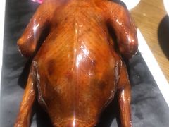 红烧鸽-大鸽饭(岗顶店)