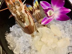 -鲜入围煮花胶鸡海鲜火锅