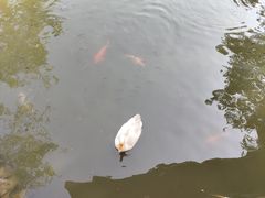 -厦门园林博览苑