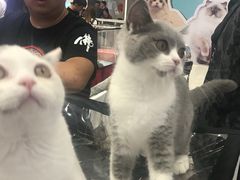 -凯德广场(学府店)