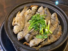 -蠔爺王志德生蚝馆(金沙湾店)