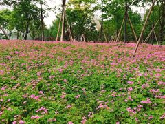 -杭州城北体育公园