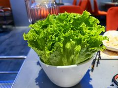 -盛辛巴·东北炭火烤肉(托乐嘉店)