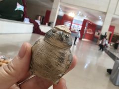 -包头博物馆