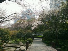 android_upload_pic-高东镇樱花园