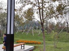 -武清南湖绿博园