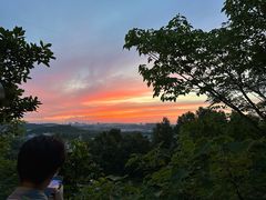 -羊山湖公园