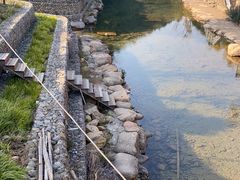 -北仑森林植物园