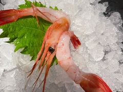 北欧甜虾-Mr·Fish鱼鲜生海鲜放题(银泰in99店)