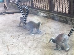 -昆明动物园