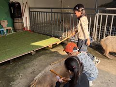 -盈香心动乐园