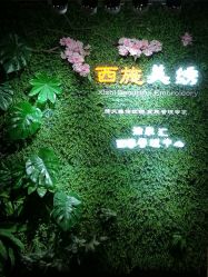 点击看大图 -西施无菌半永久纹绣眉眼影唇轻增发纹发际线