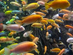 -太平洋海底世界