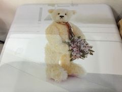 -珍妮曲奇聪明小熊(尖沙咀店)