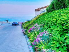 -海合安青岛极地海洋公园