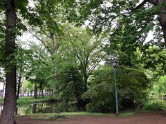 -北海道厅旧本厅舍(旧本庁舎)