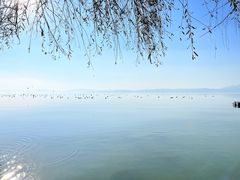 -捞渔河湿地公园