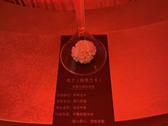 -舒小悦·舒养SPA·古法推拿(光环中心店)