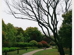 -南翔镇银翔湖公园