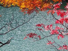 -叠溪松坪沟景区