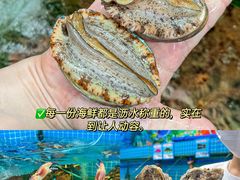 -三亚亚特兰蒂斯度假区