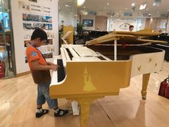 -柏斯音乐艺术中心·钢琴·吉他(世纪金源店)