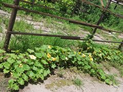 DSC_0335-万利美食生态园