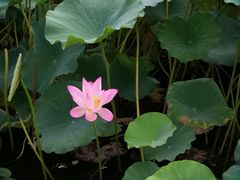 -南宫温泉水世界