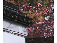 -八大山人梅湖景区