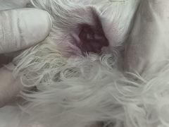 -宠颐生中康贝怡动物医院
