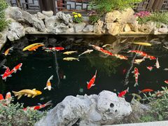 -金海华·华宴江南(斜塘店)