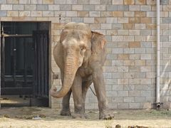 -石家庄市动物园