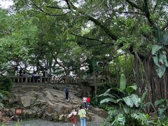 -乌山风景区