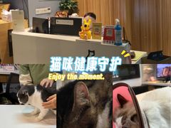 -御宝贝·A梦猫科宠物医院(国际猫友好医院)
