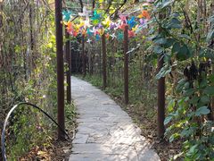 -南窖乡水峪村山情农家