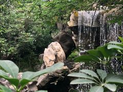 -南通洲际绿博园